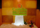 camellia_logo